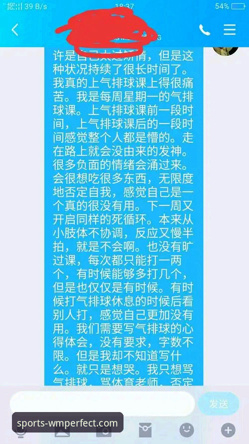揭秘完美体育平台：正版入口背后的深度体验与真相